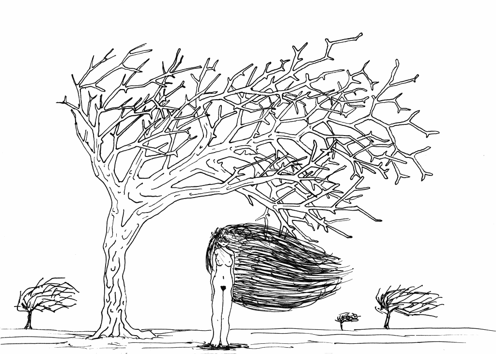 dessins de gérald ligonnet