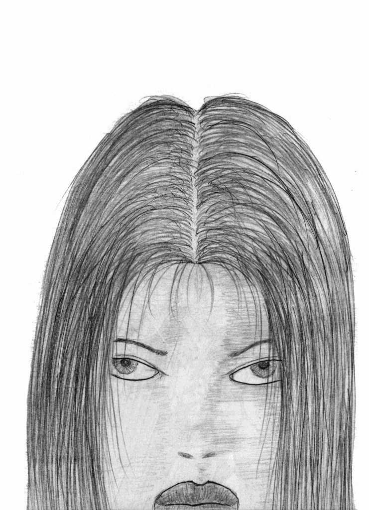 dessins de gérald ligonnet