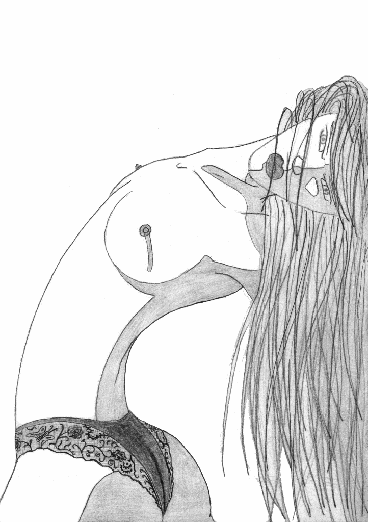 dessins de gérald ligonnet