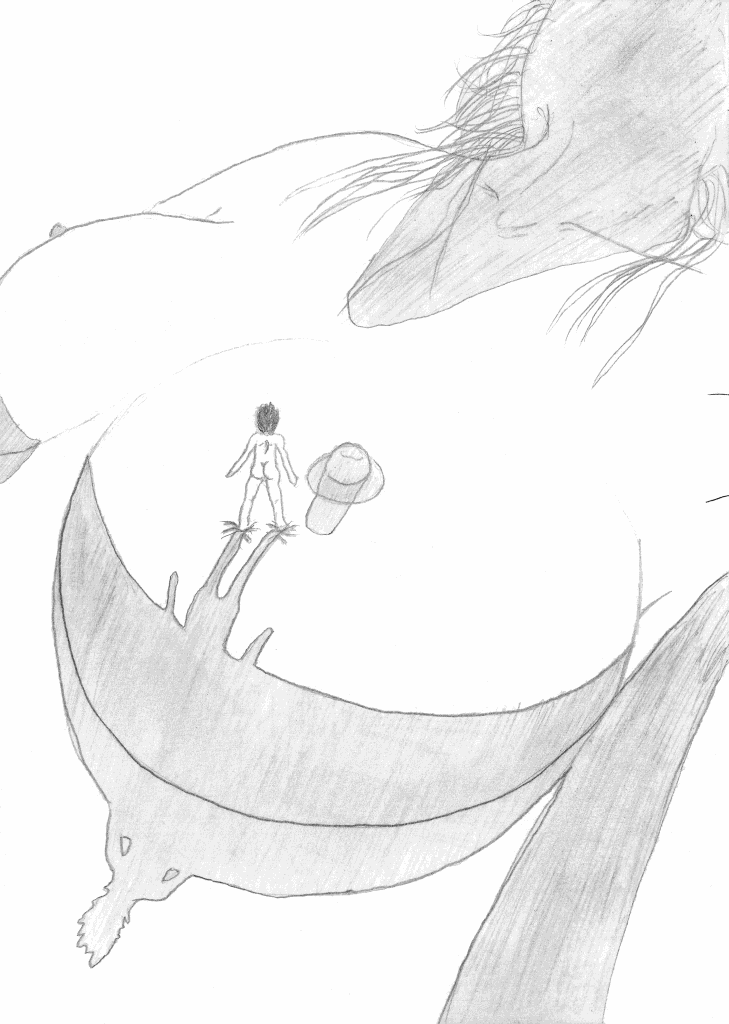 dessins de gérald ligonnet