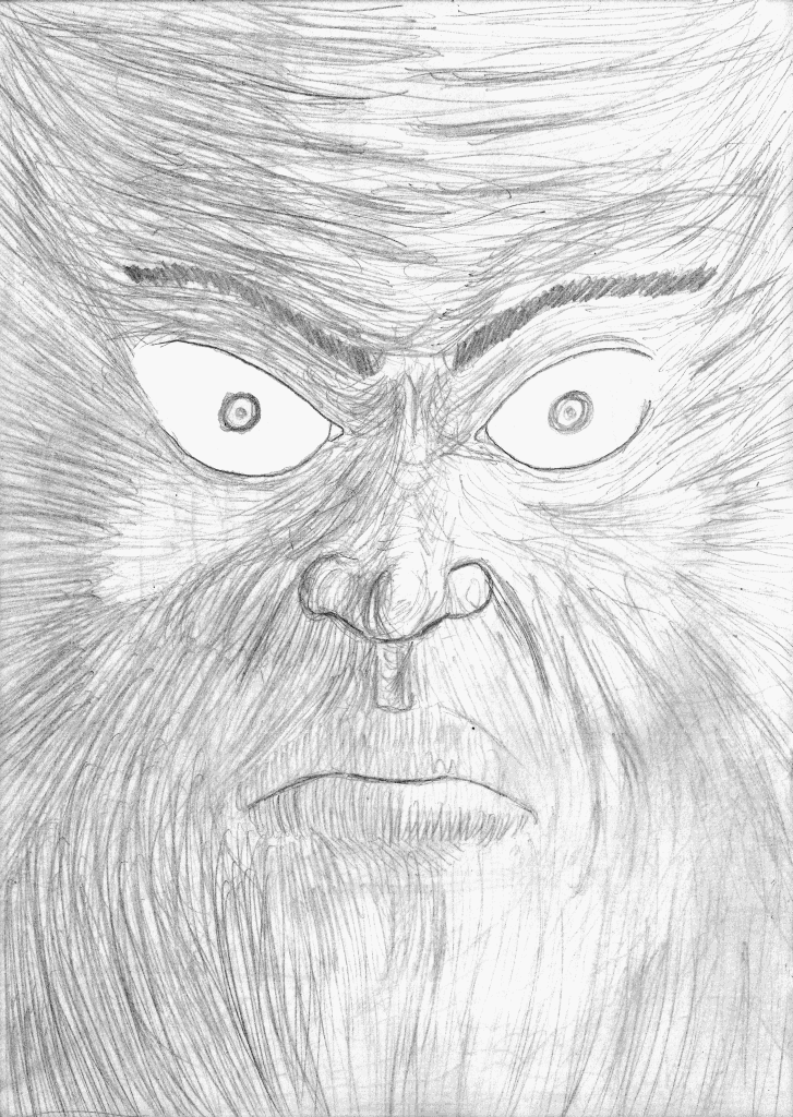 dessins de gérald ligonnet