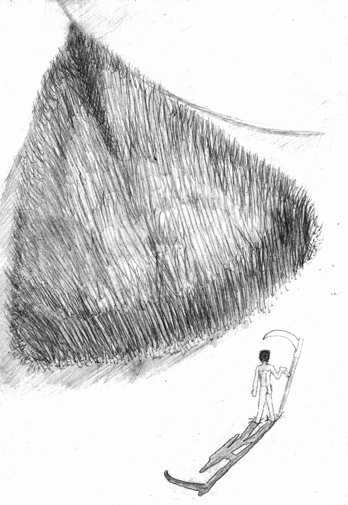 dessins de gérald ligonnet