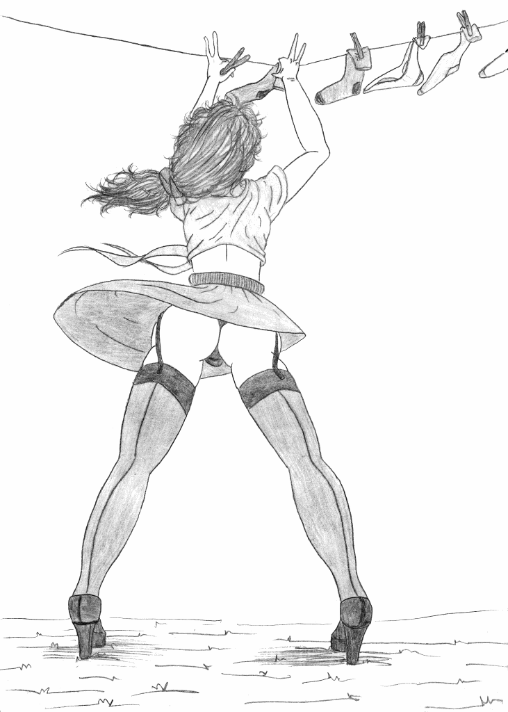 dessins de gérald ligonnet