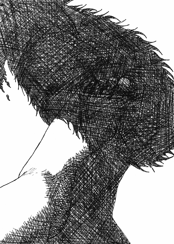 dessins de gérald ligonnet