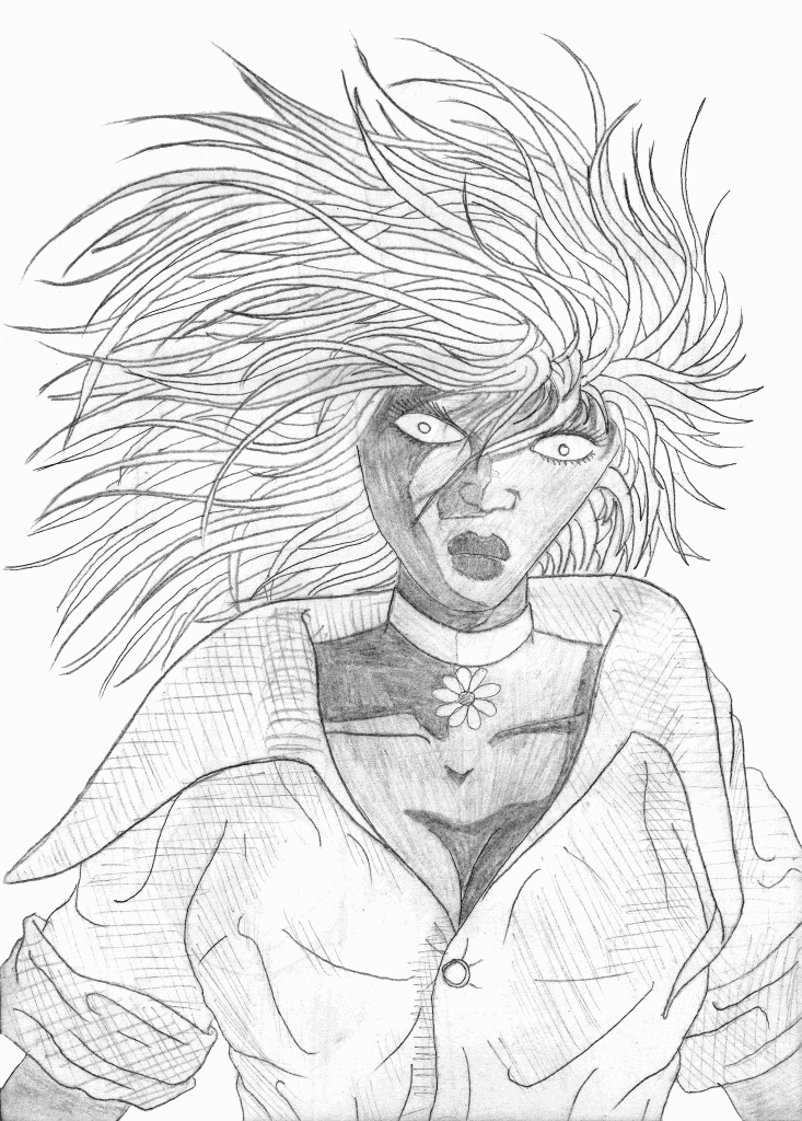 dessins de gérald ligonnet