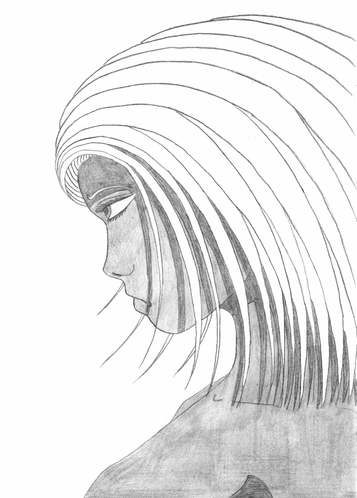 dessins de gérald ligonnet