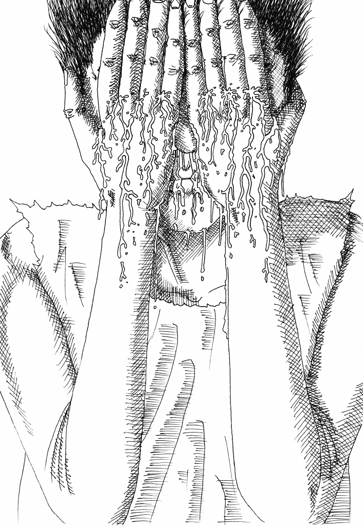 dessins de gérald ligonnet