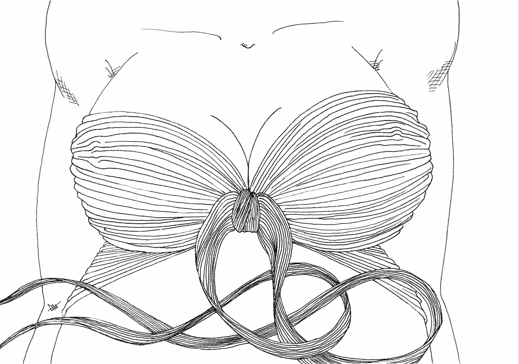 dessins de gérald ligonnet