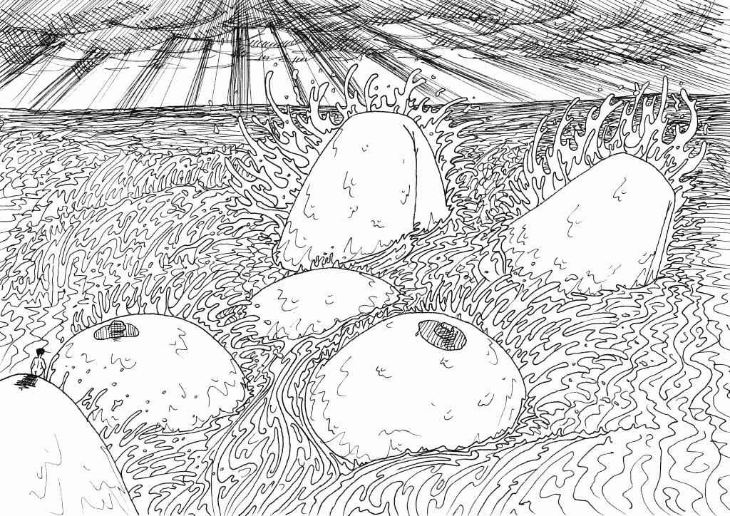 dessins de gérald ligonnet