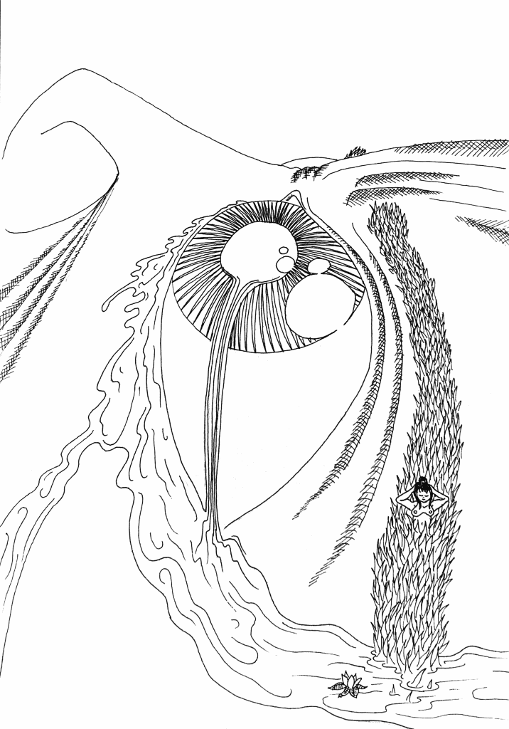 dessins de gérald ligonnet