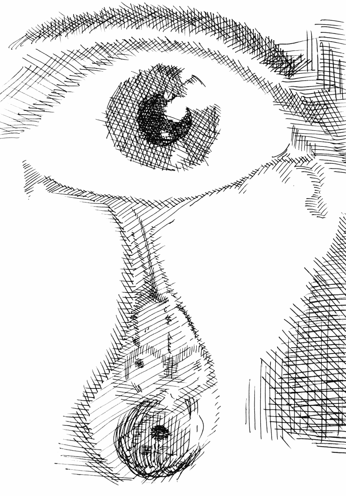 dessins de gérald ligonnet