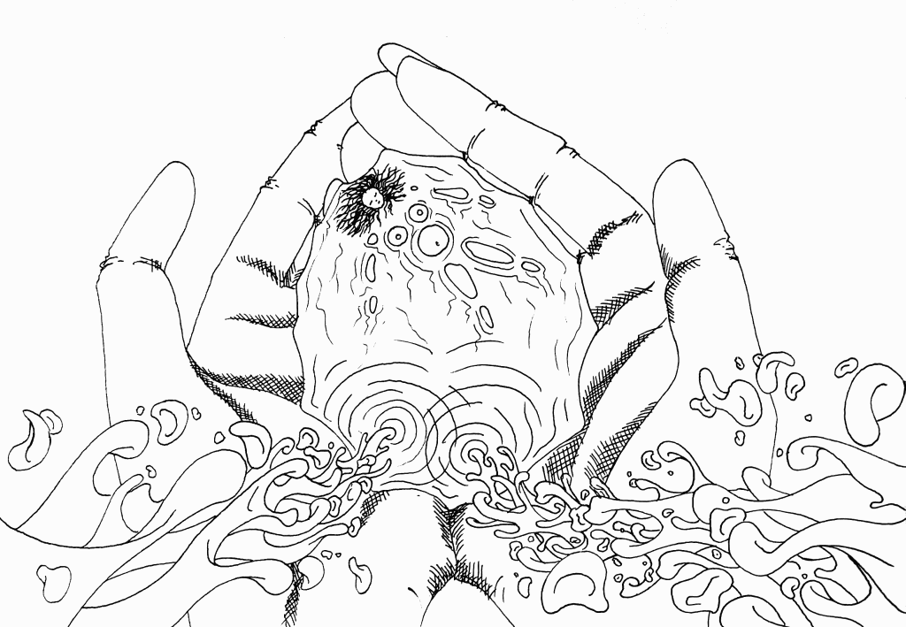 dessins de gérald ligonnet