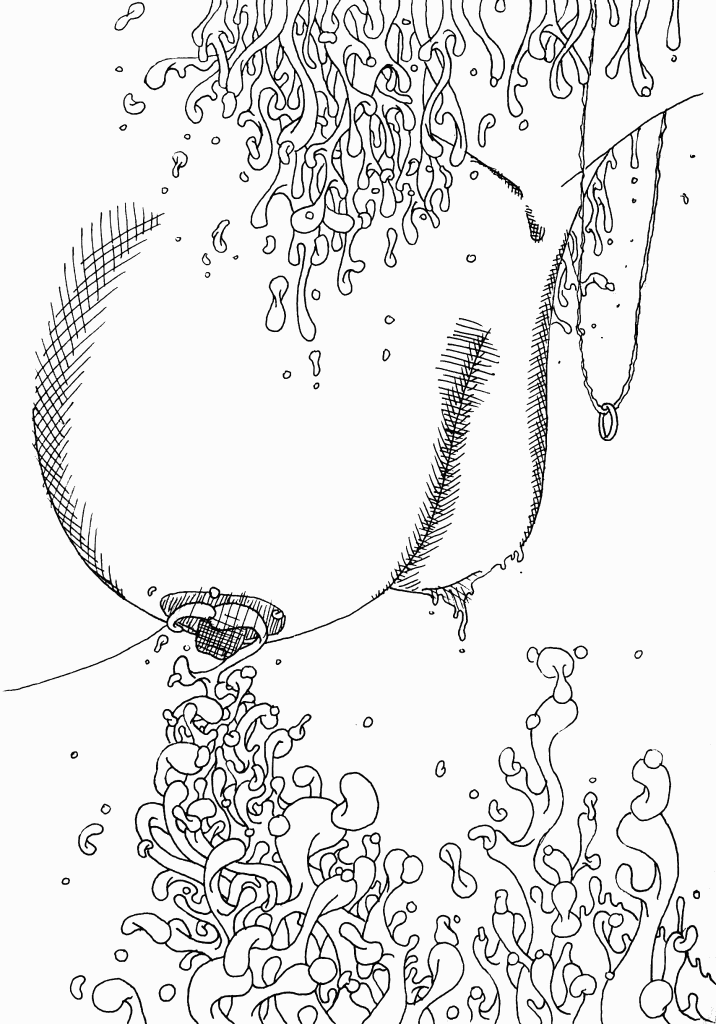 dessins de gérald ligonnet